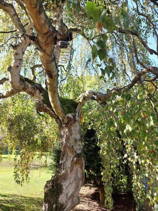 Appartement The Squirrels- Alresford, Essex Extérieur photo